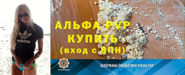 стаф Алзамай