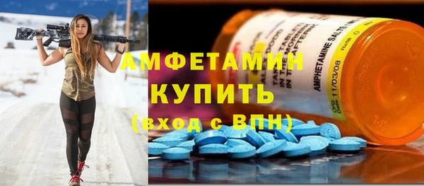 стаф Алзамай