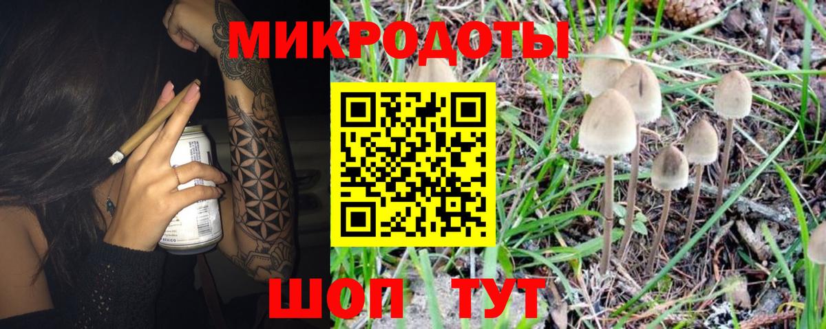 Псилоцибиновые грибы Psilocybine cubensis Красноуфимск