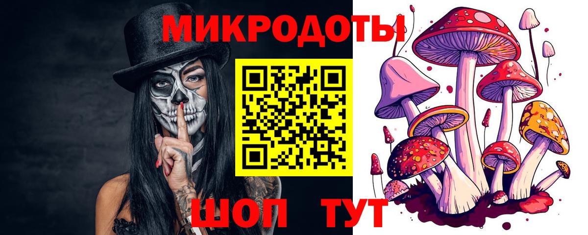 Красноуфимск  Псилоцибиновые грибы Psilocybe  Вход с VPN 